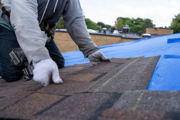 Professional Roofing Contractor in Columbus, GA